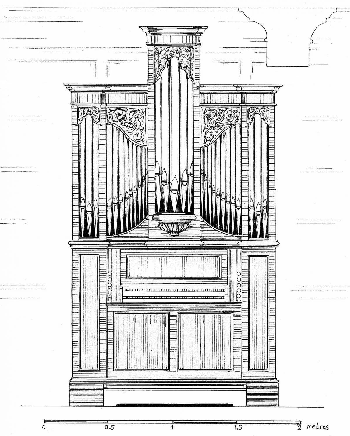 Colouring bright organ musical instrument