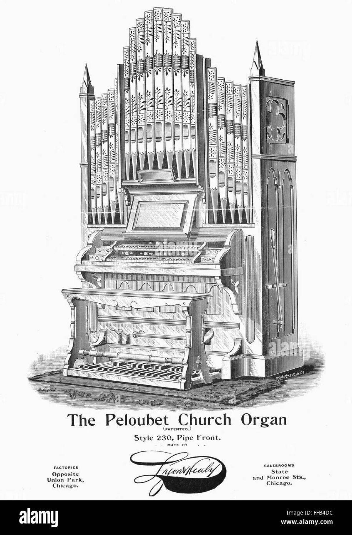 Charming organ musical instrument coloring book