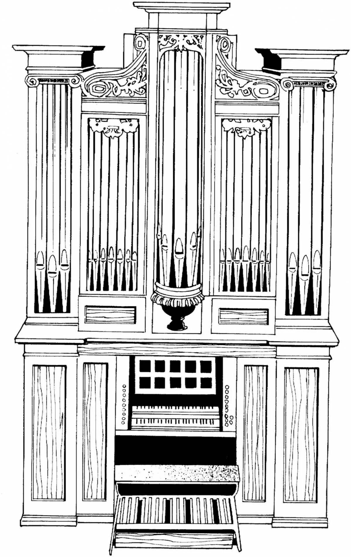Organ musical instrument #10