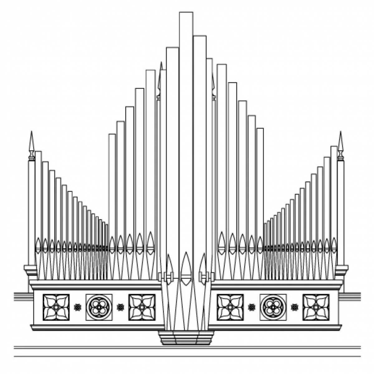 Орган раскраска