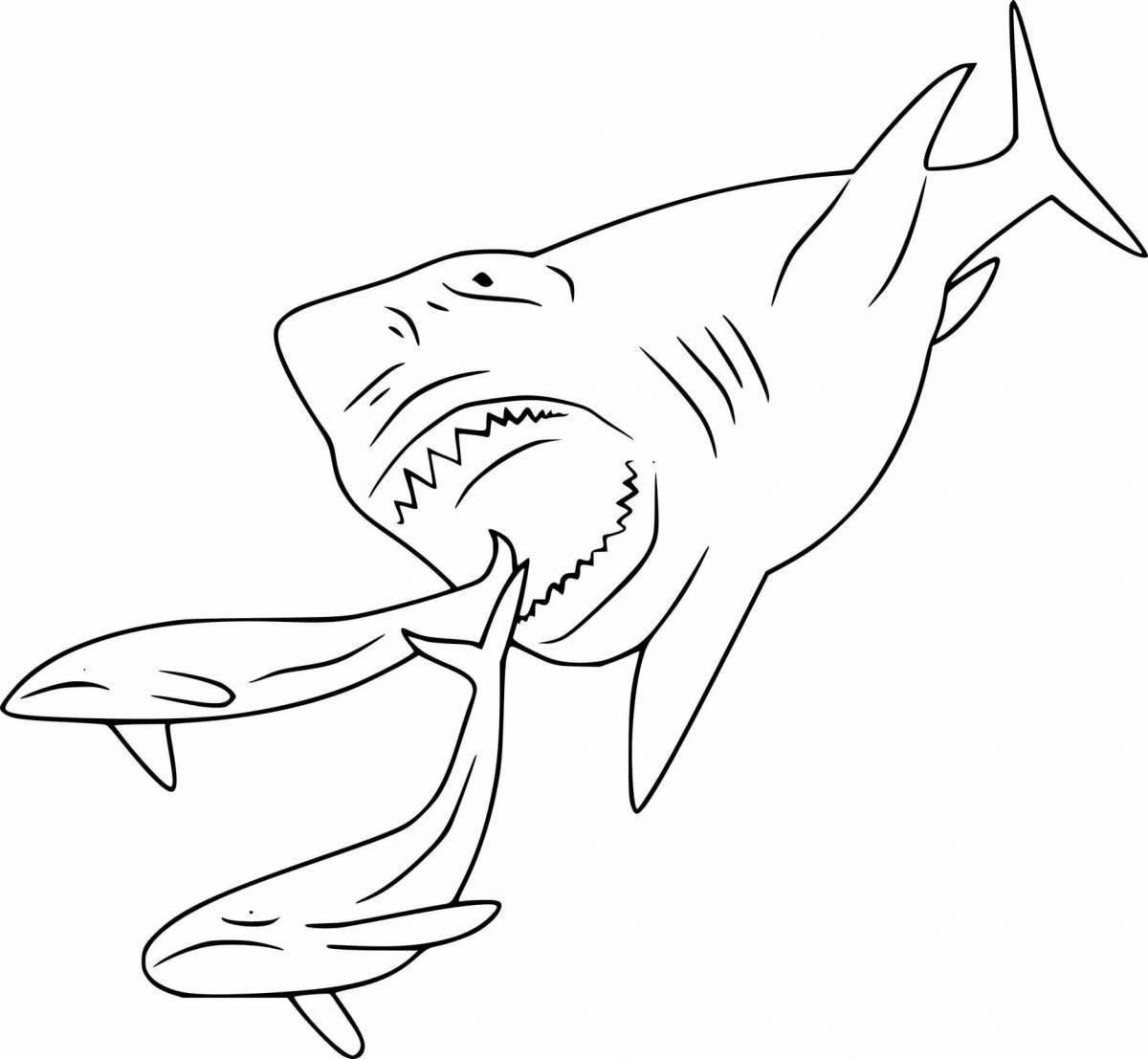 Раскраска акула МЕГАЛОДОН