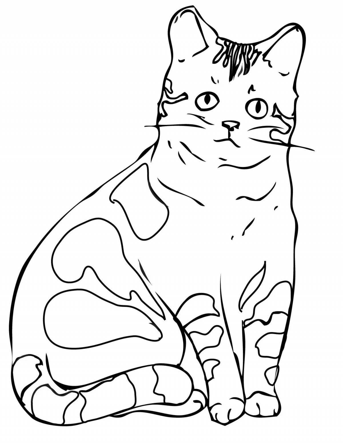 Adorable black and white cat coloring book