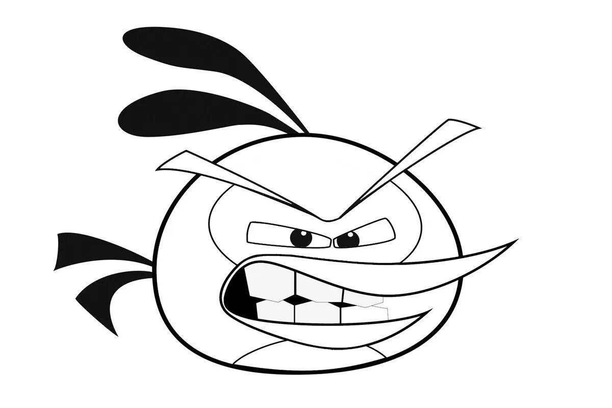 Photo Angry birds smart coloring 2