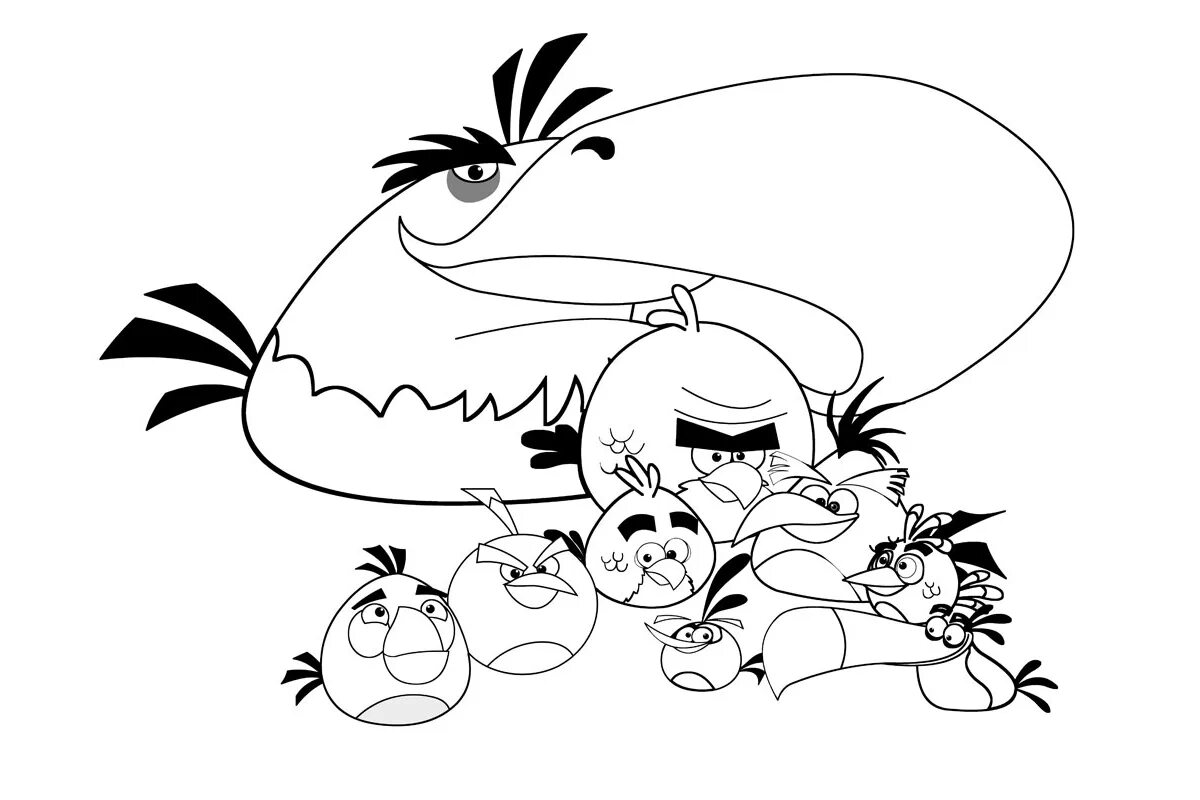 Раскраска птицы Angry Birds. Angry birds