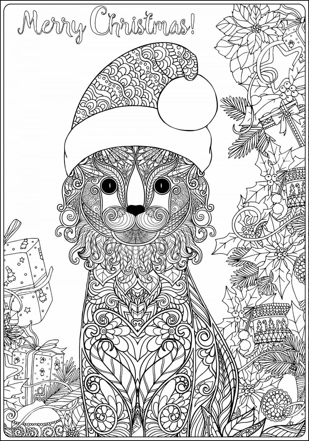 Colouring funny cat new year