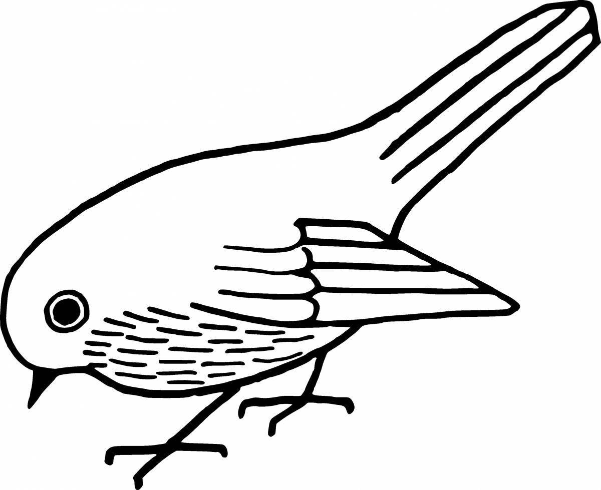 Awesome bird coloring book