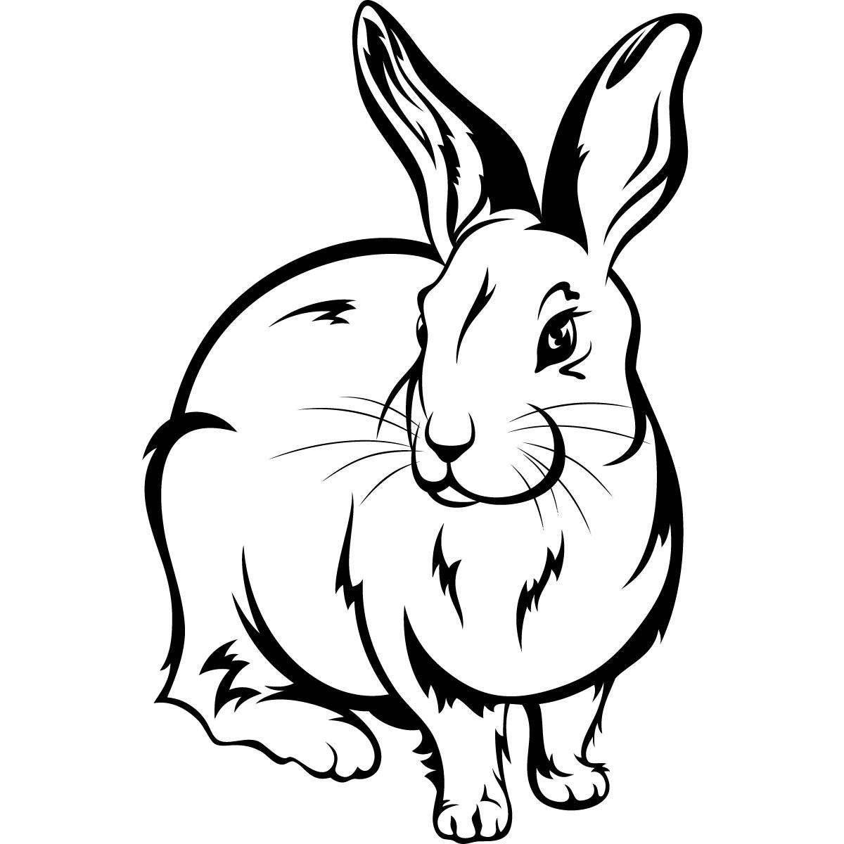 Coloring book shiny hare