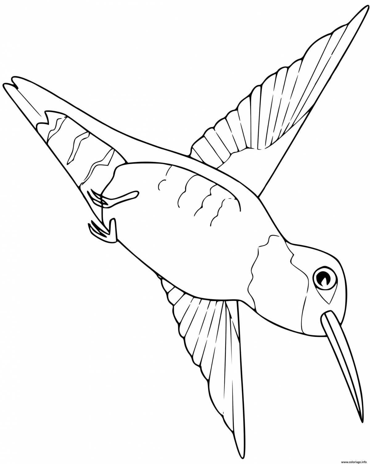 Радостная раскраска колибри для детей