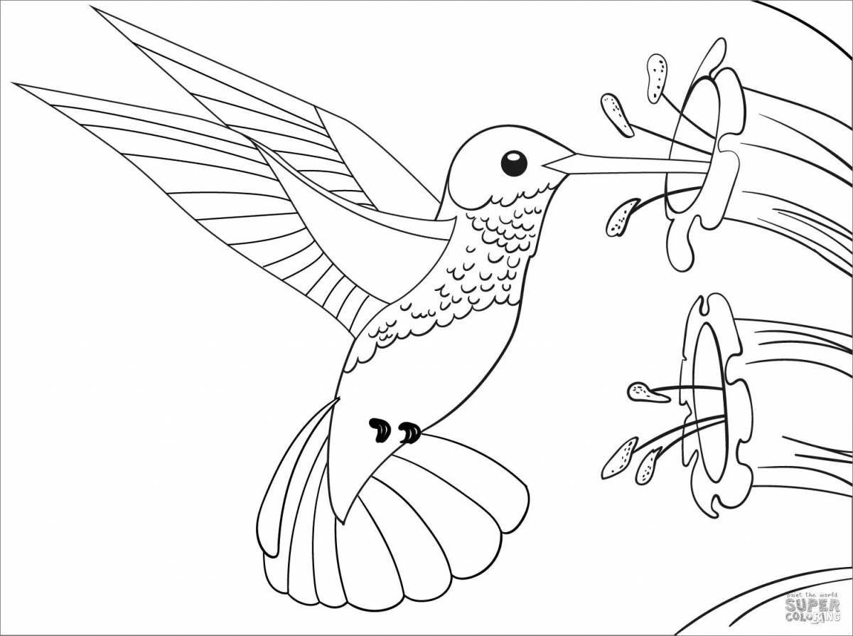 Adorable hummingbird coloring book for kids