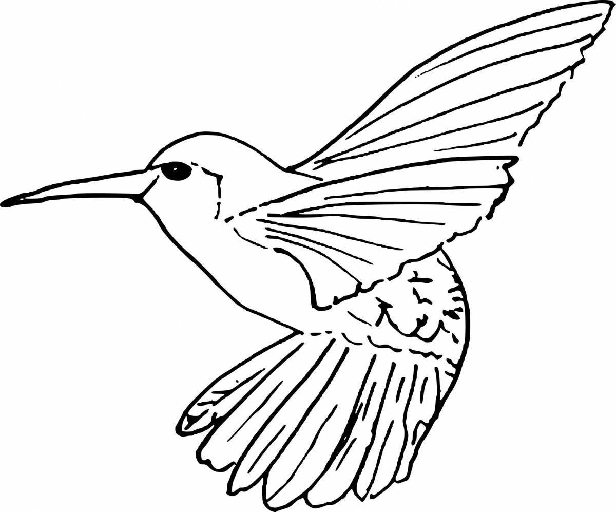 Милая раскраска колибри для детей