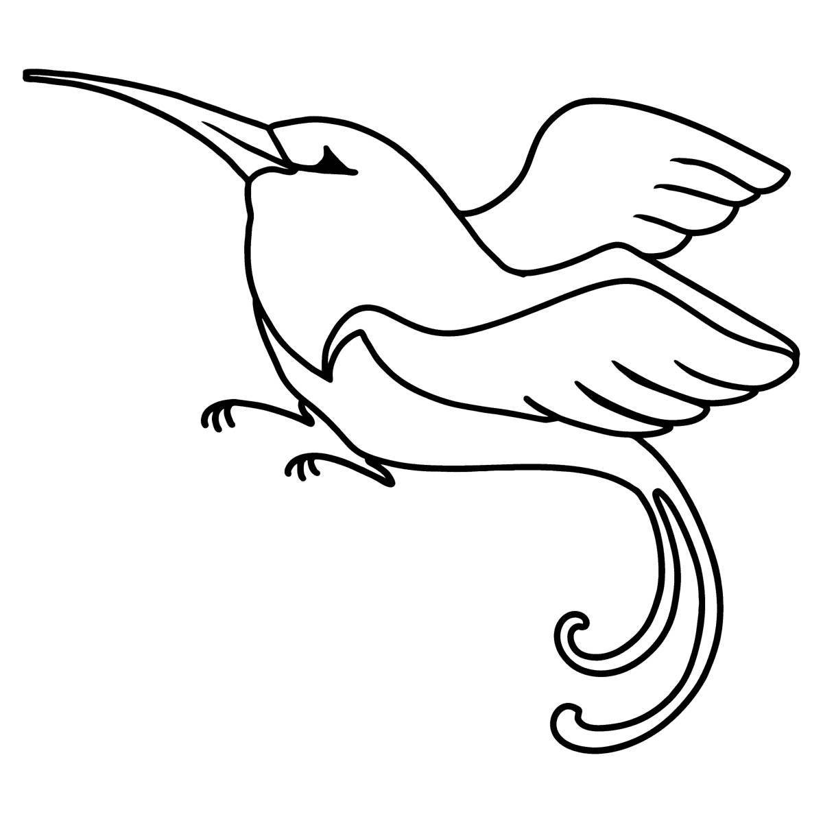 Great hummingbird coloring book for kids