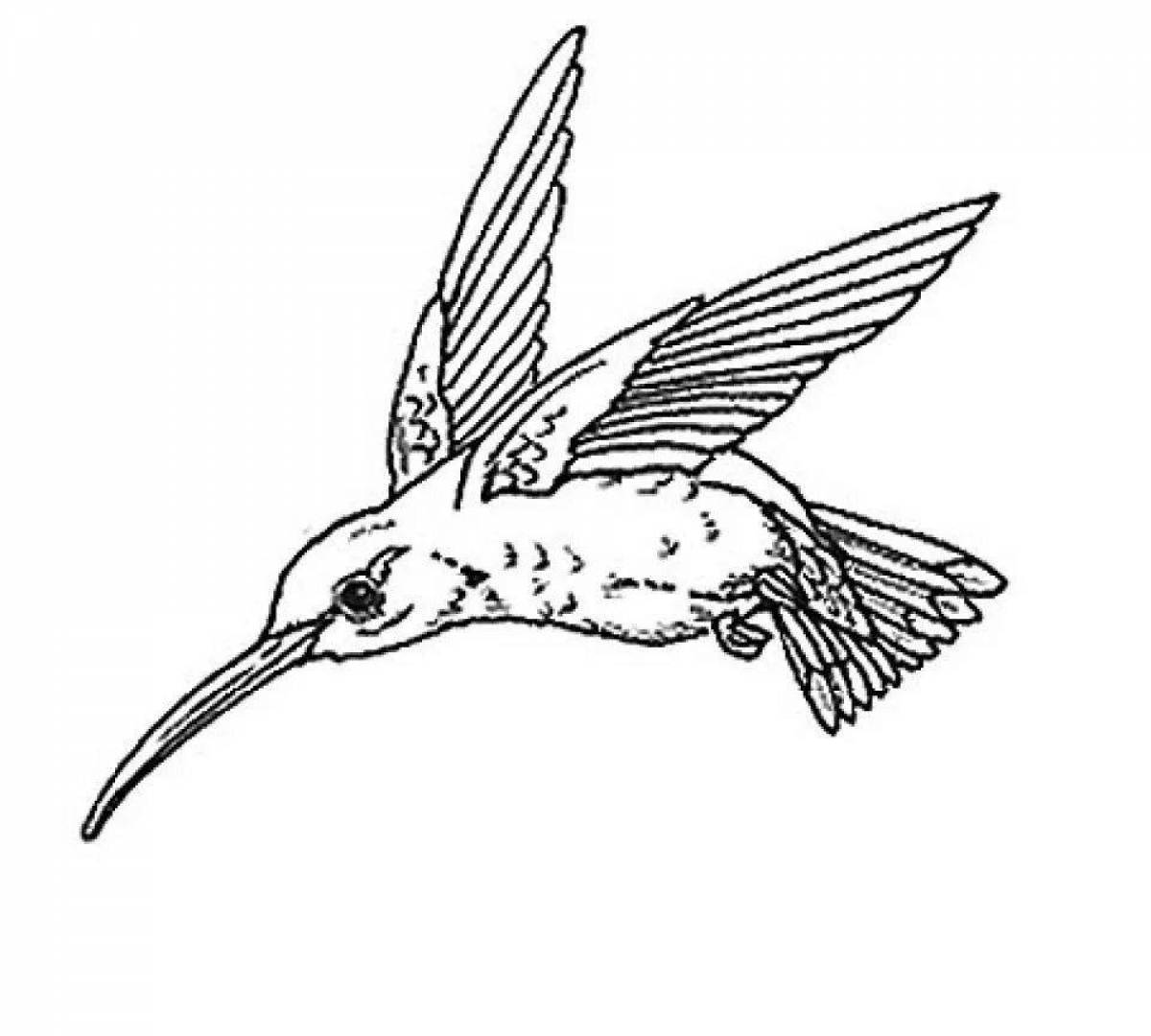 Игристая раскраска колибри для детей