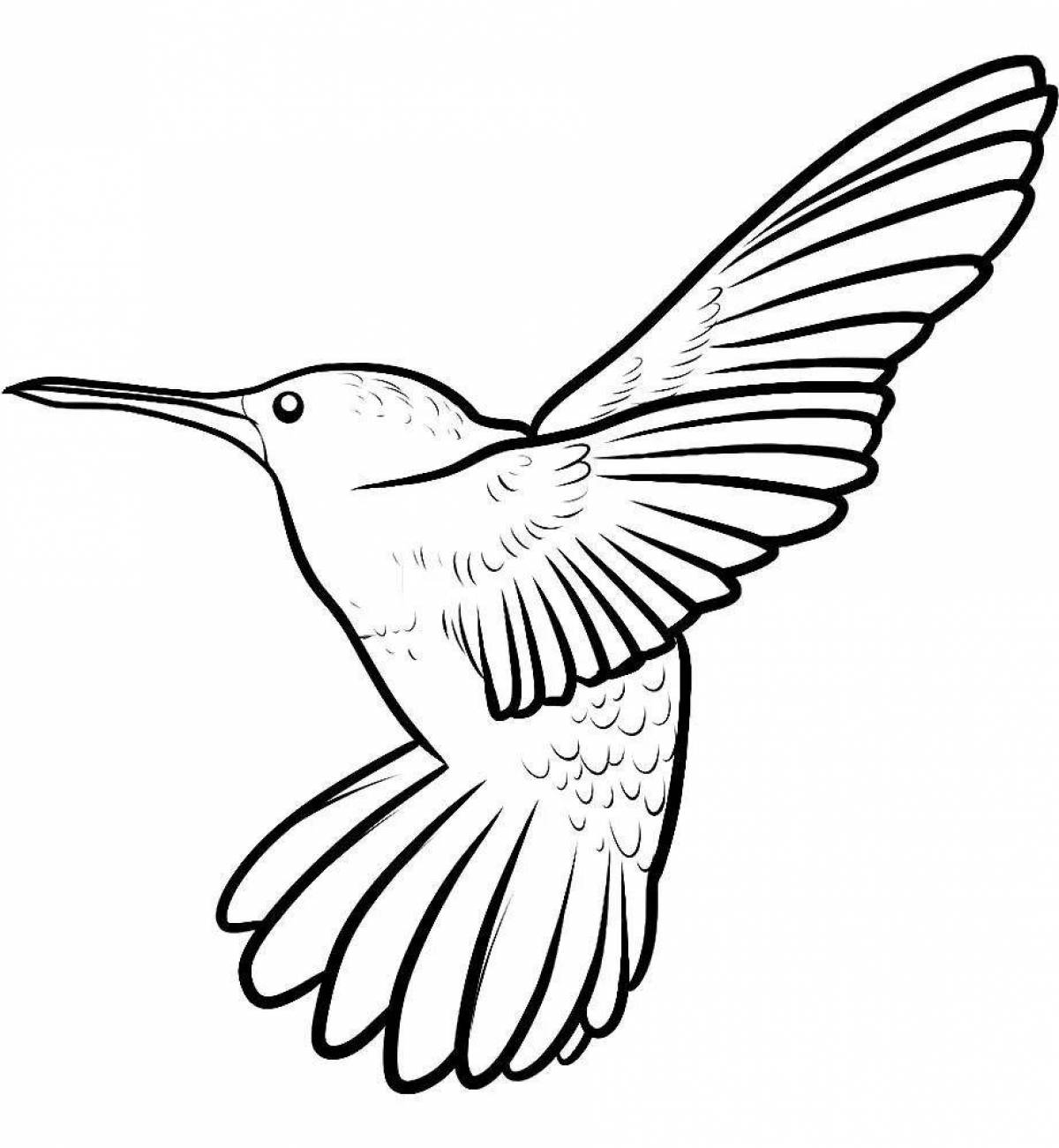 A shining hummingbird coloring book for kids