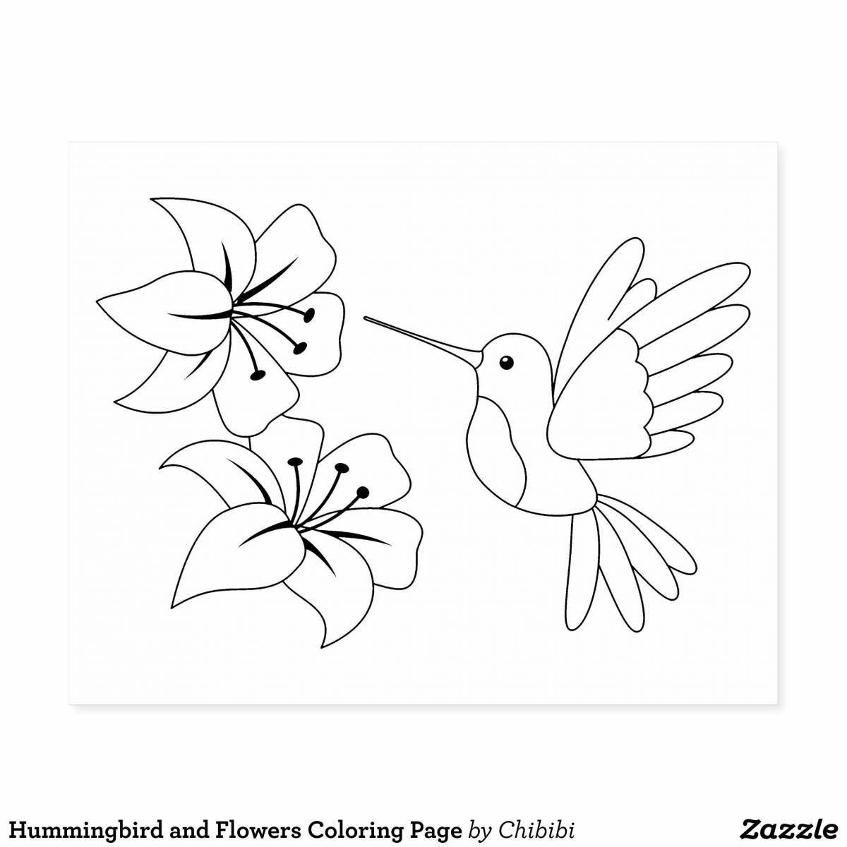 Забавная раскраска колибри для детей