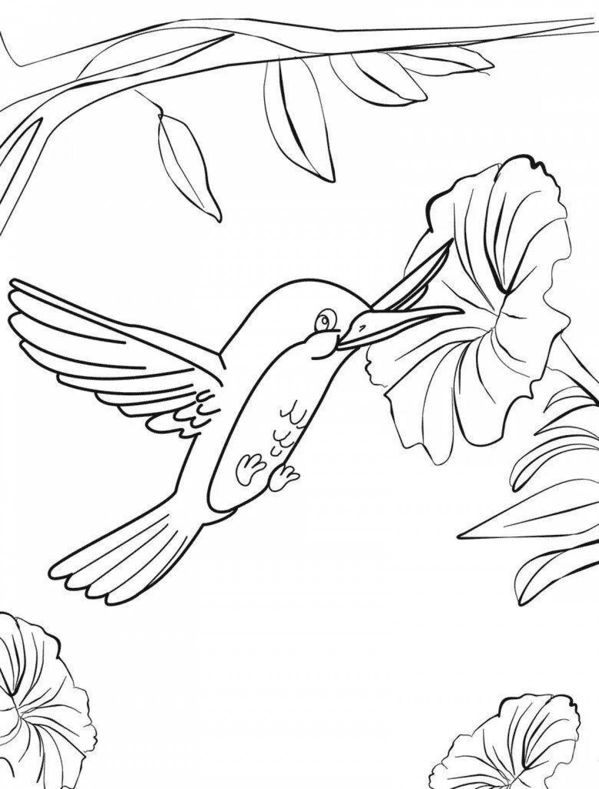 Мистическая раскраска колибри для детей