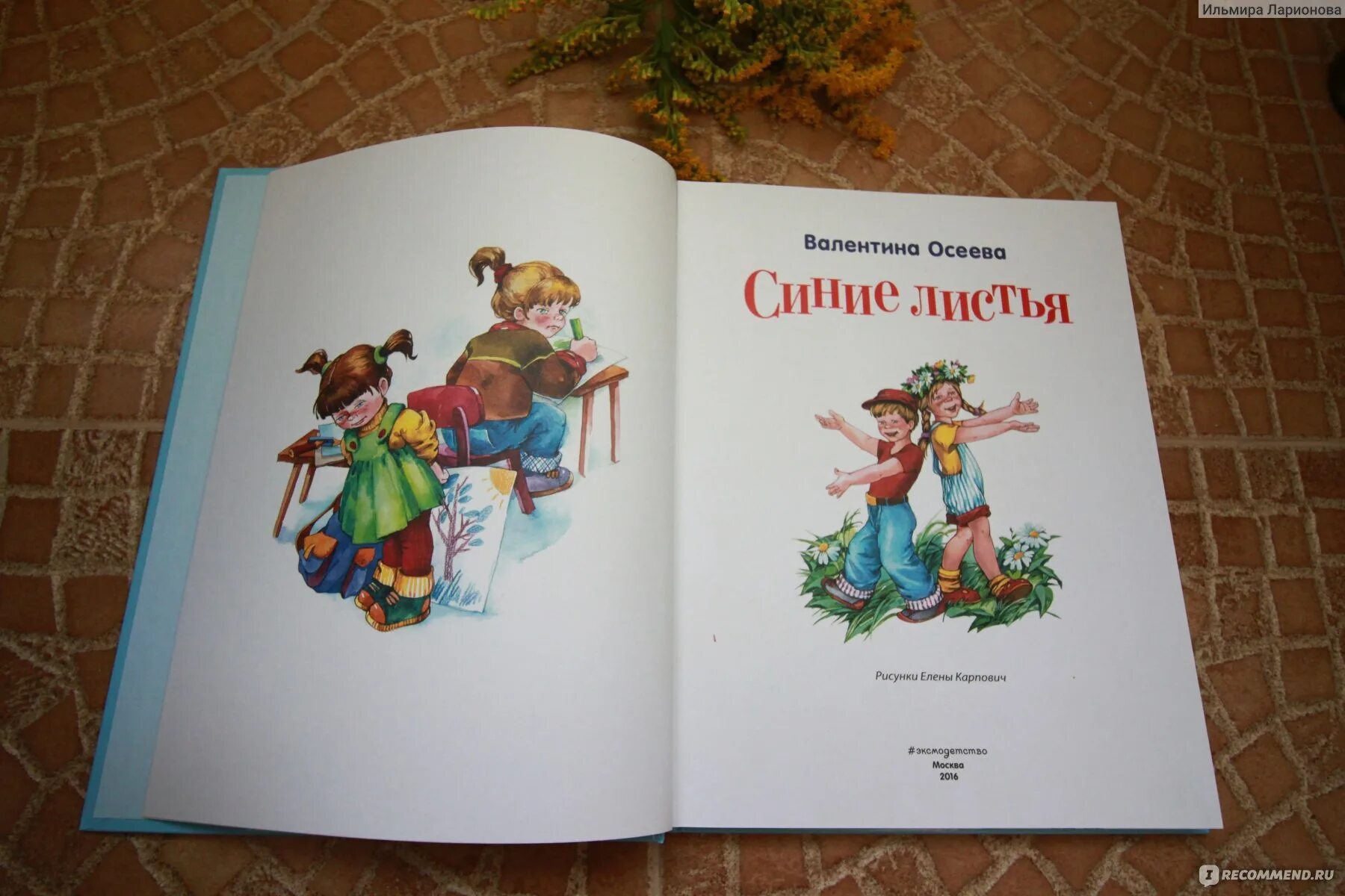 Photo Colouring beautiful blue oseev leaves