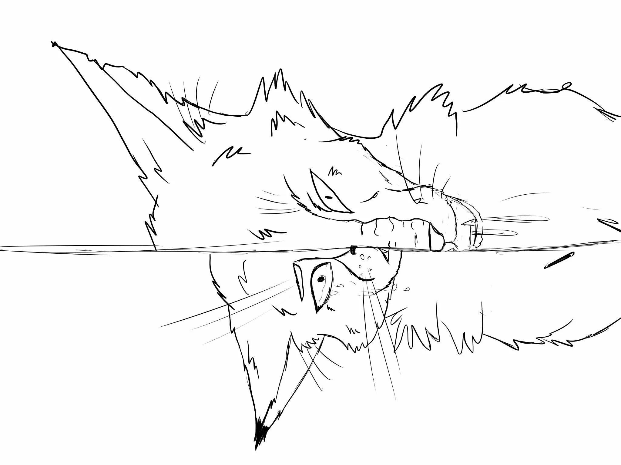 Раскраска Заманчивые раскраски коты-воины смерти