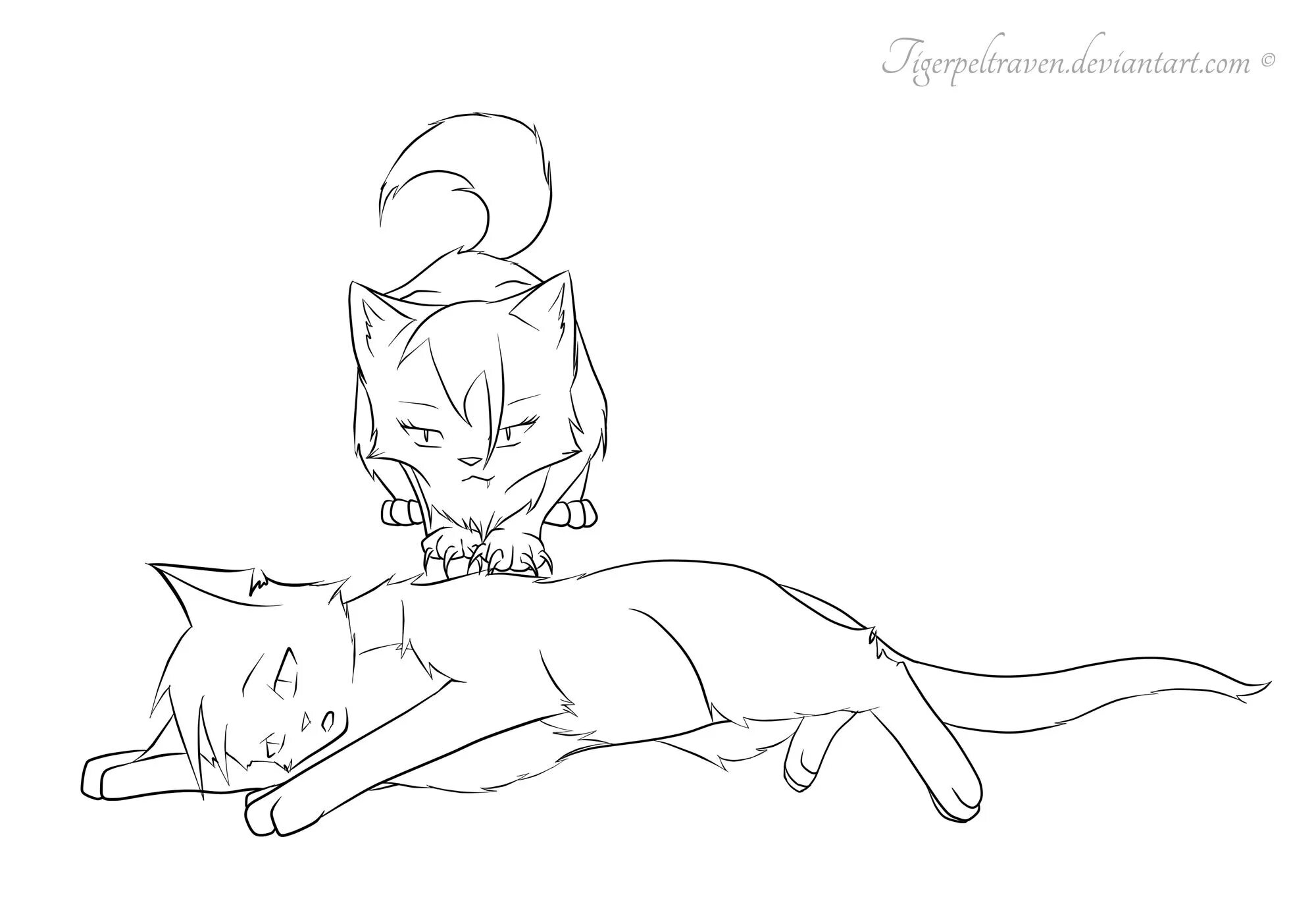 Death warrior cat coloring pages