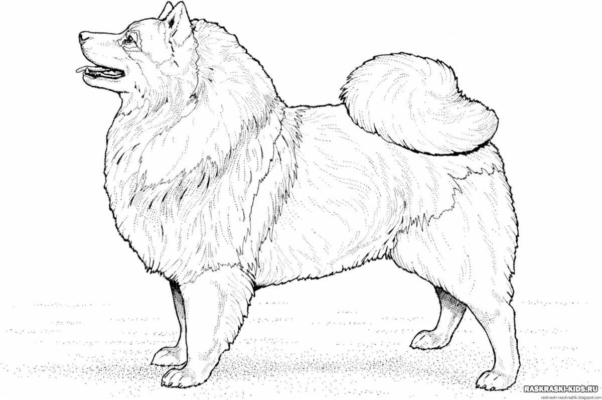 Adorable dog coloring of different breeds