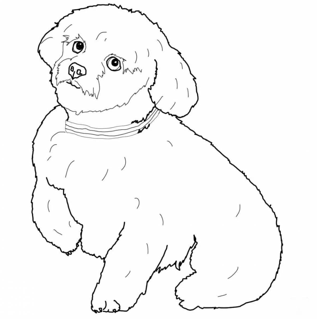 Fluffy coloring pages of dogs of different breeds