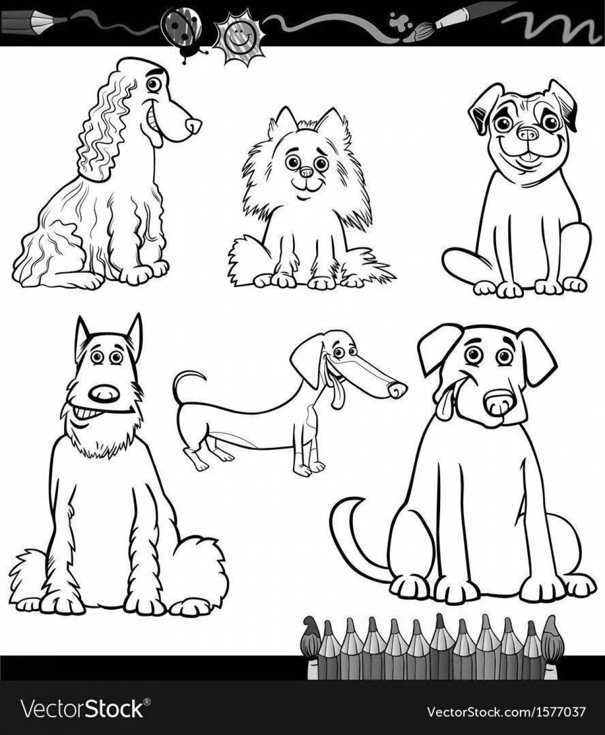 Пушистая раскраска собаки разных пород