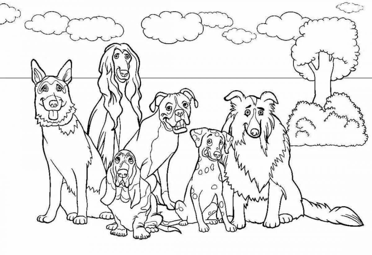 Loving coloring of dogs of different breeds