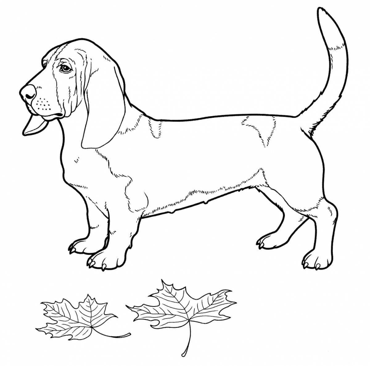 Loyal coloring pages of dogs of different breeds