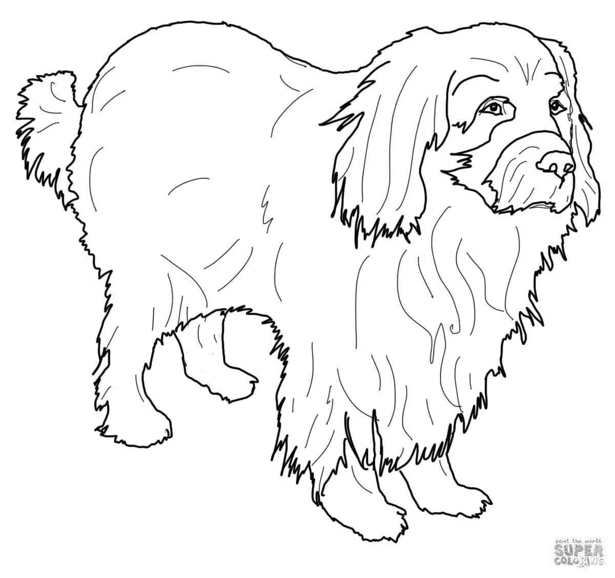 Intelligent coloring pages of dogs of different breeds