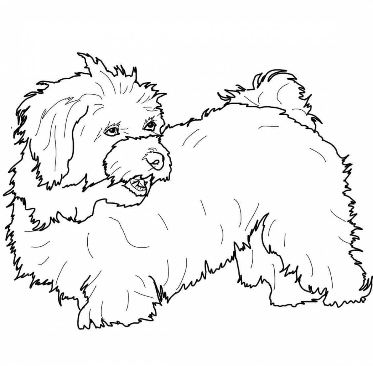 Brave coloring pages of dogs of different breeds