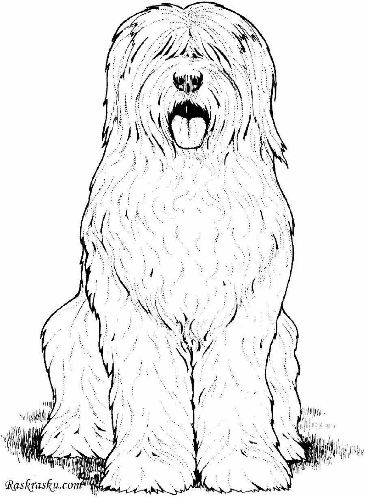 Naughty dog ​​breeds coloring pages