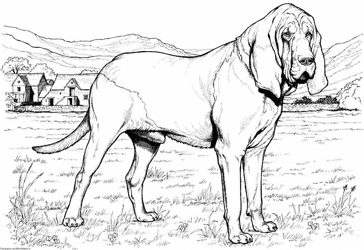 Protective coloring of dogs of different breeds