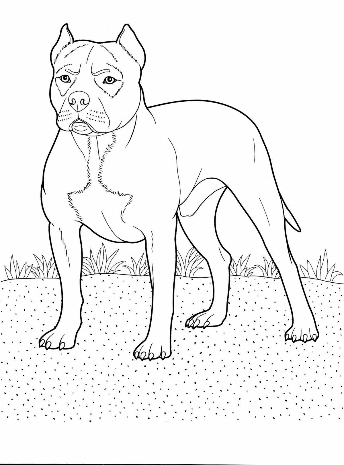 Coloring dogs of different breeds