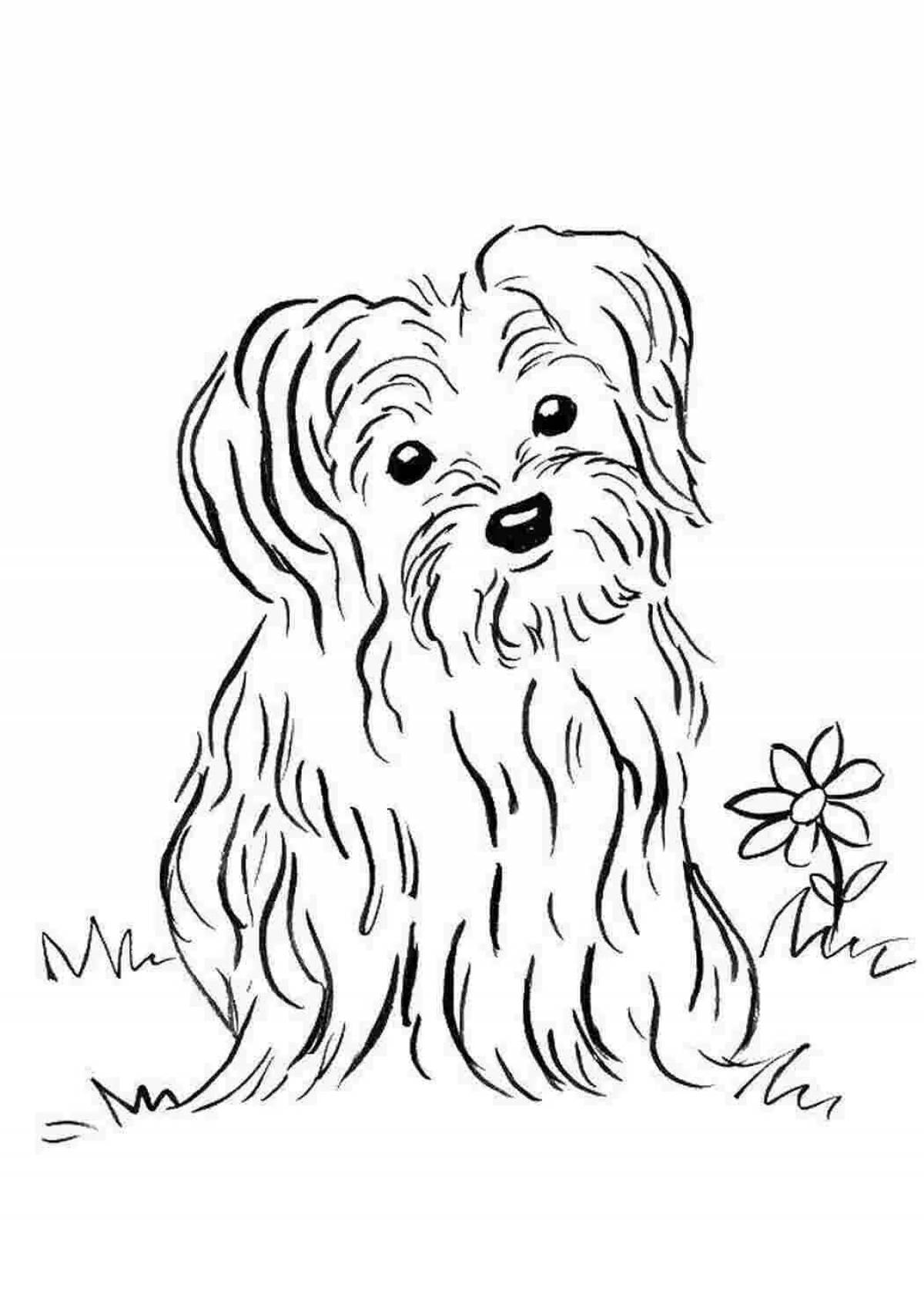 Cute coloring pages of dogs of different breeds
