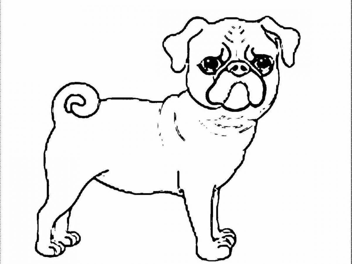 Sweet pug coloring page for kids
