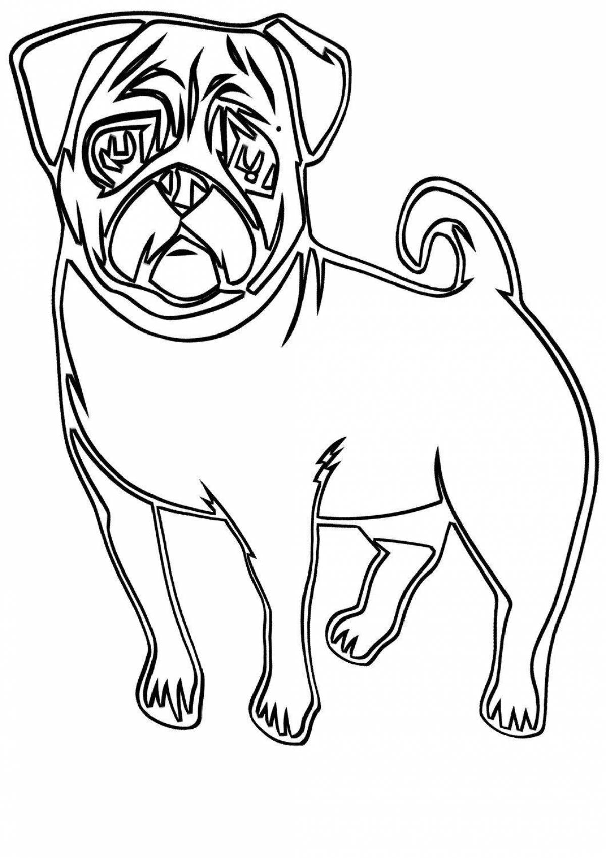 Coloring page adorable pug for kids