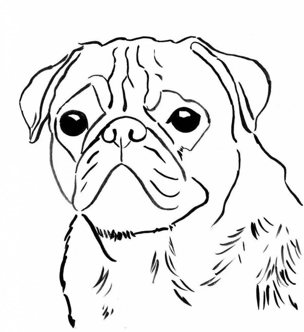 Coloring happy pug for kids