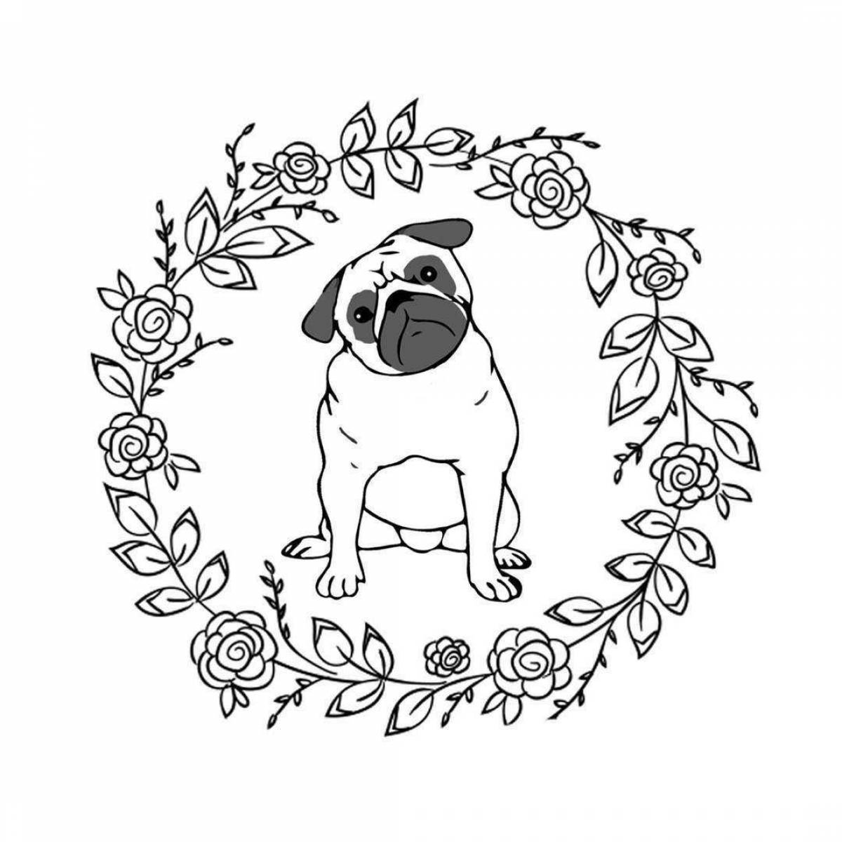 Outstanding pug coloring page for kids
