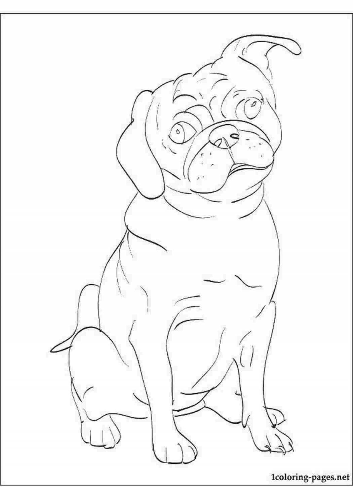 Cute pug coloring page for kids