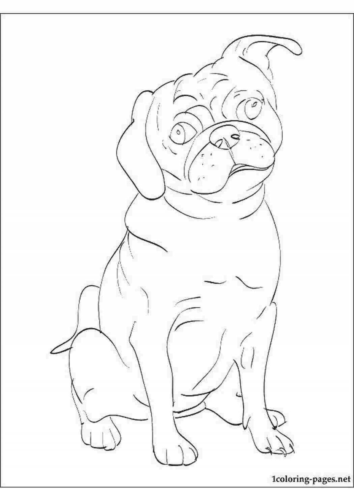 Cute pug coloring page for kids
