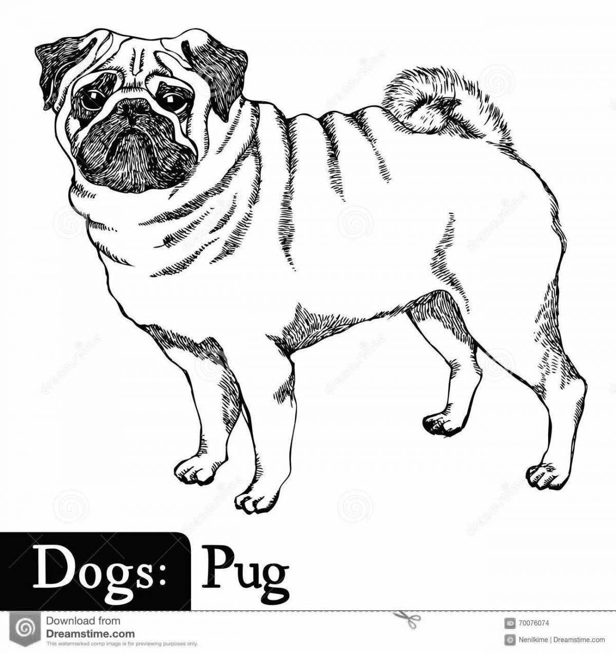 Relaxing pug coloring page for kids