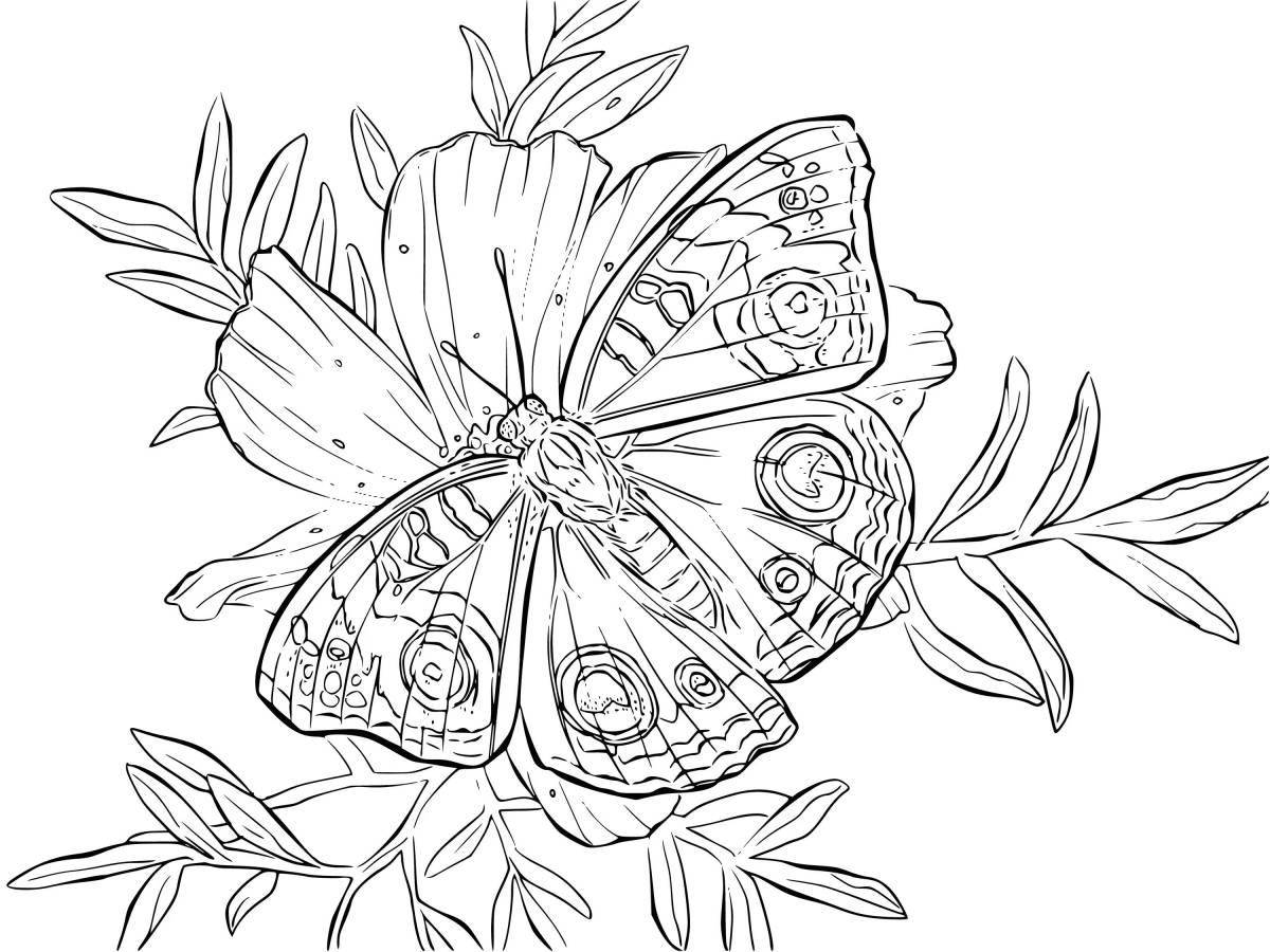 Величественная раскраска бабочка павлин