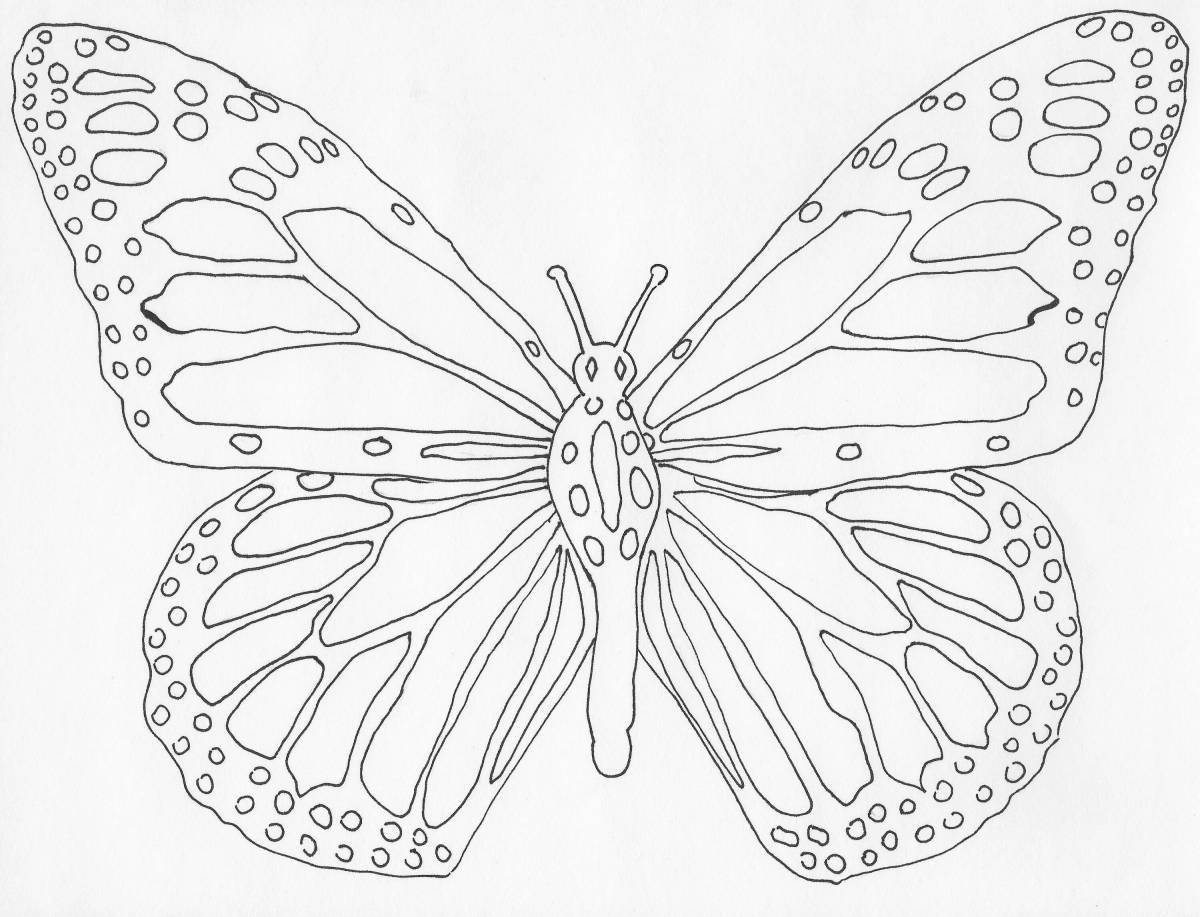 Shining Peacock Butterfly Coloring Page