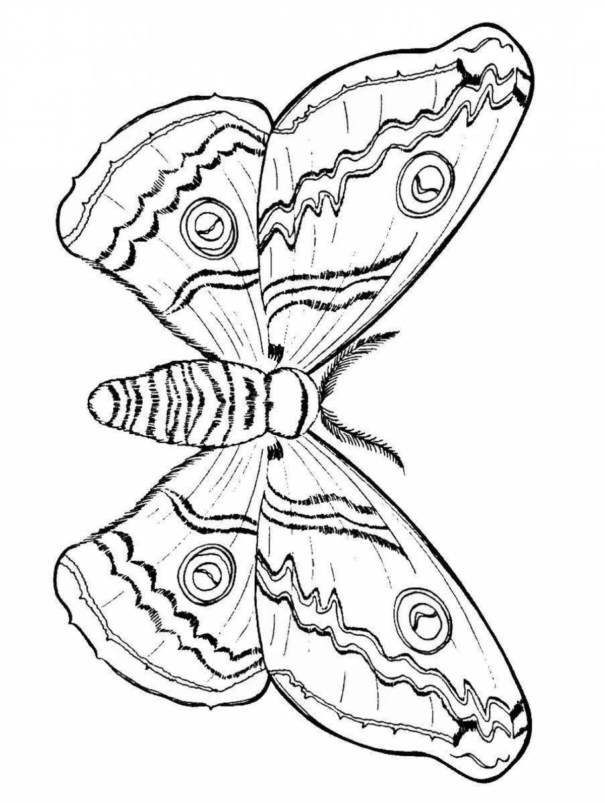 Блестящая раскраска бабочка павлин