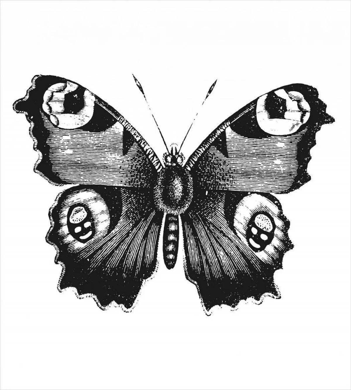 Блестящая раскраска павлиньи бабочки