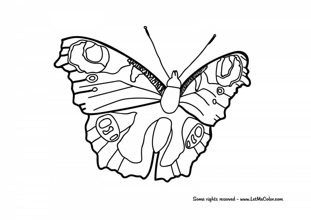 Delicate peacock butterfly coloring book