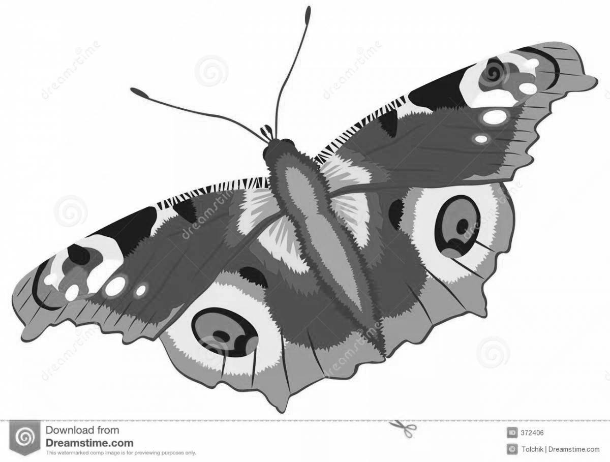 Радостная раскраска бабочка-павлин