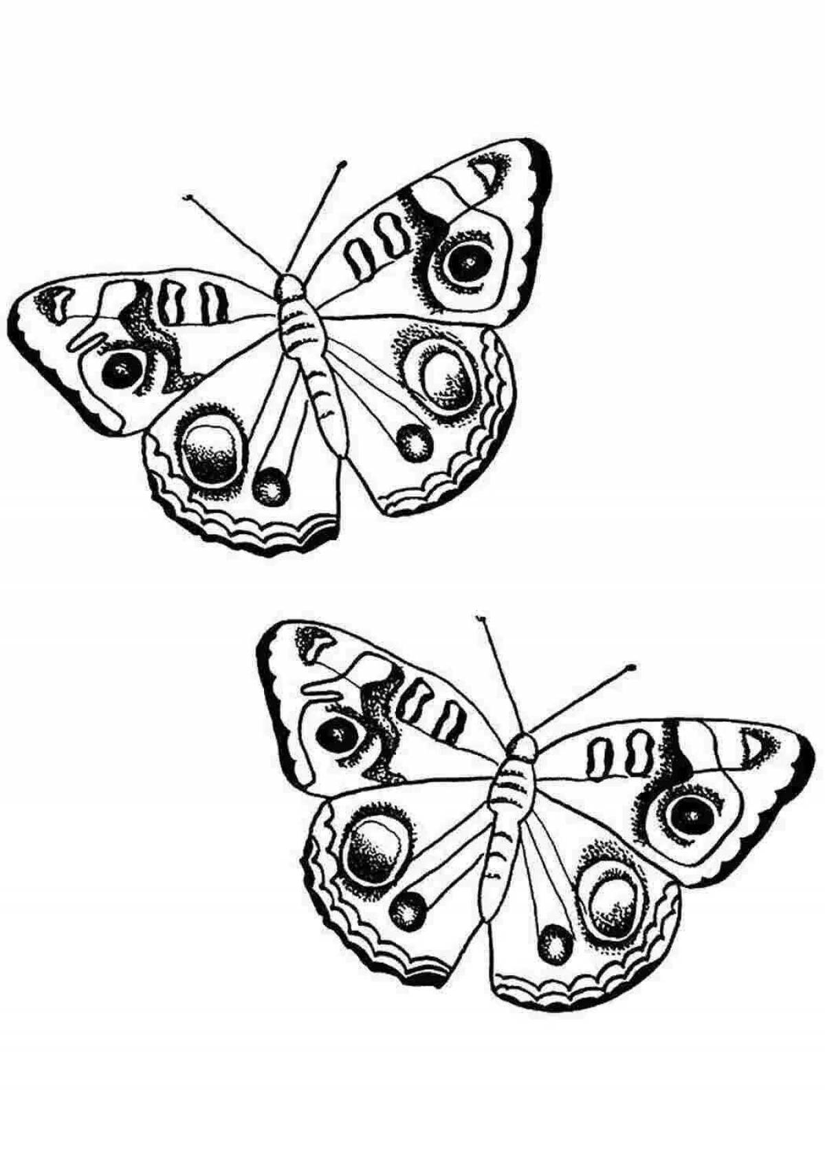 Игривая раскраска бабочка-павлин