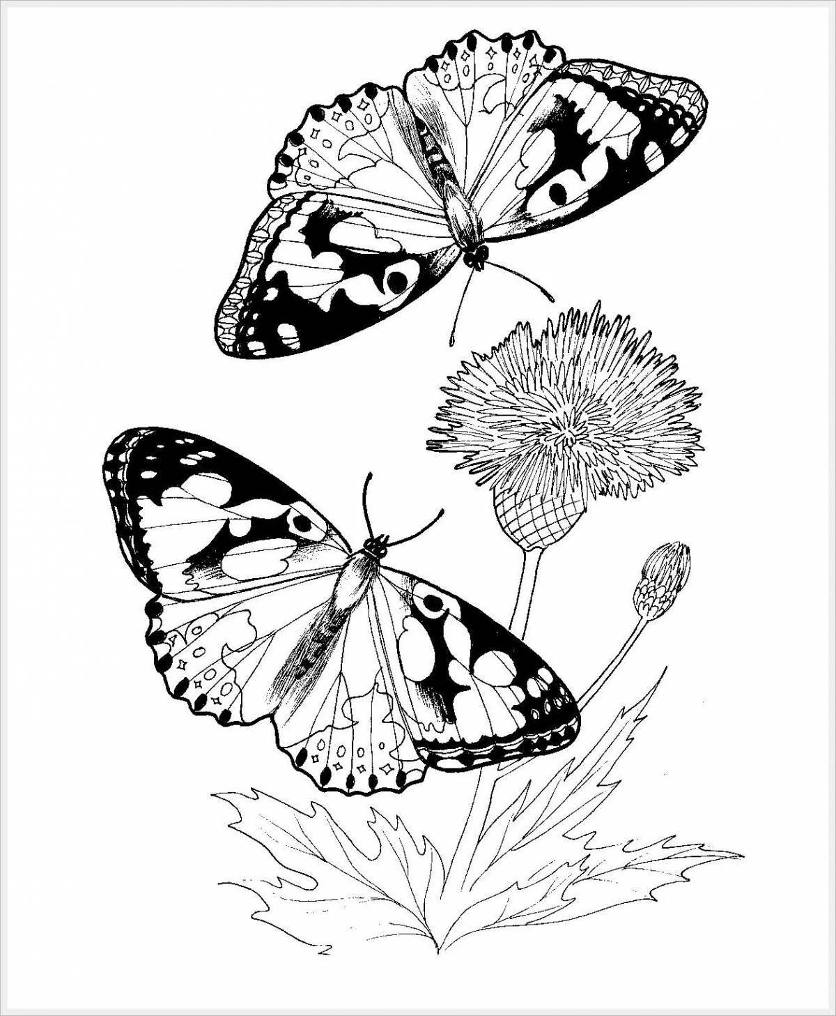 Изысканная раскраска бабочка павлин