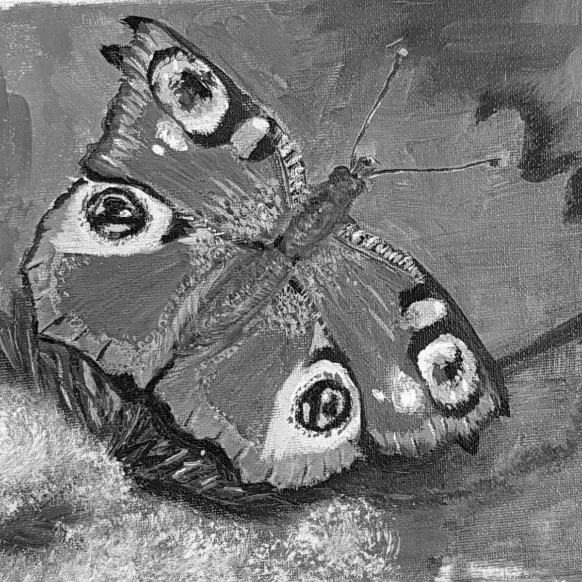 Яркая раскраска бабочка павлин