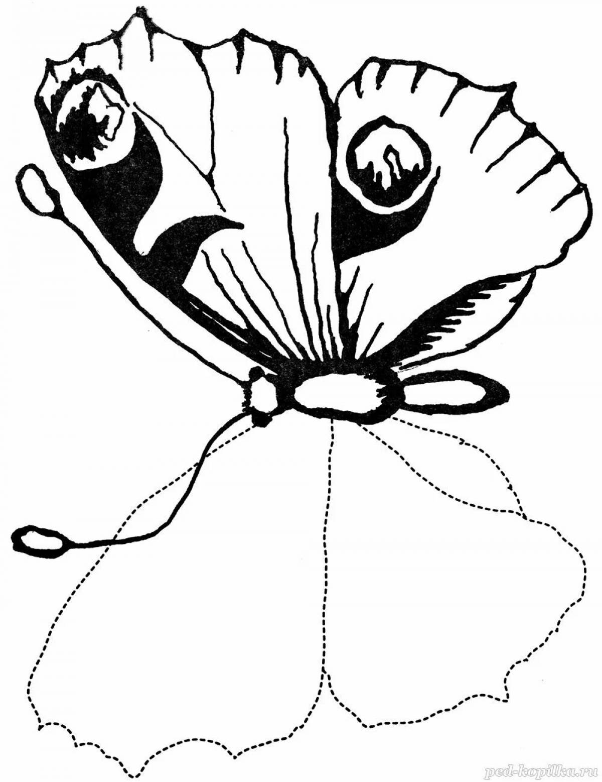 Brightly colored peacock butterfly coloring page